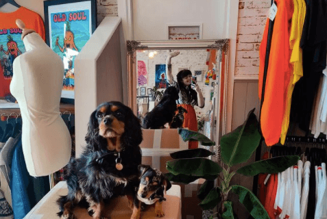 There’s a Halloween Kilo Vintage sale happening in Waterford next weekend There’s a Halloween Kilo Vintage sale happening in Waterford next weekend