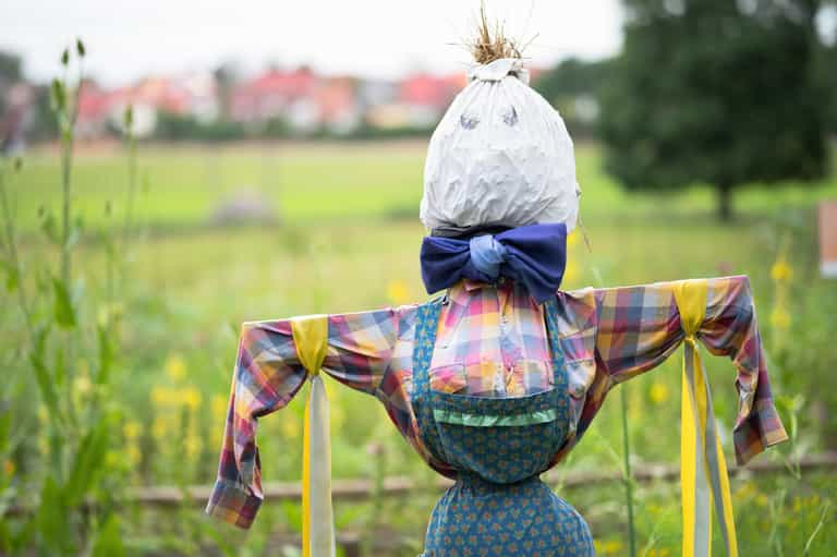 There’s a DIY scarecrow event happening at Killruddery Gardens There’s a DIY scarecrow event happening at Killruddery Gardens