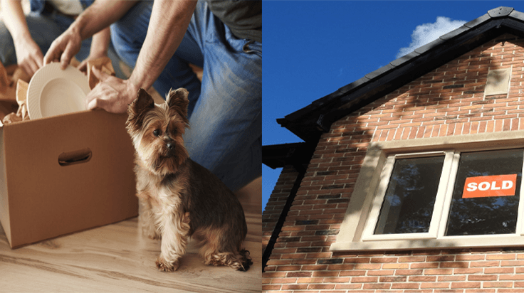 Buying a home in North Dublin, Louth or Meath? We’ve got just the FREE expert-led event for you Buying a home in North Dublin, Louth or Meath? We’ve got just the FREE expert-led event for you