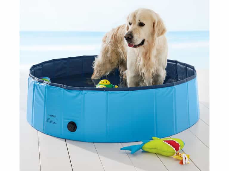 There’s going to be a ‘pet wellness centre’ for sale in Lidl next week There’s going to be a ‘pet wellness centre’ for sale in Lidl next week