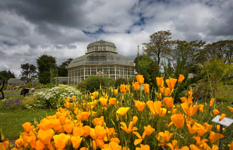 Dublin – Get more than you budgeted for! Dublin – Get more than you budgeted for!