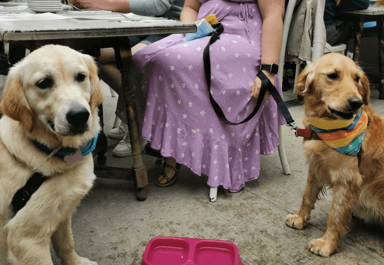 Waterford bar takes dog friendly to next level with dedicated dog menu Waterford bar takes dog friendly to next level with dedicated dog menu