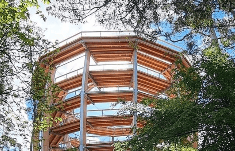 Man nearly trapped under fallen tree in alleged ‘freak accident’ at Beyond the Trees Man nearly trapped under fallen tree in alleged ‘freak accident’ at Beyond the Trees