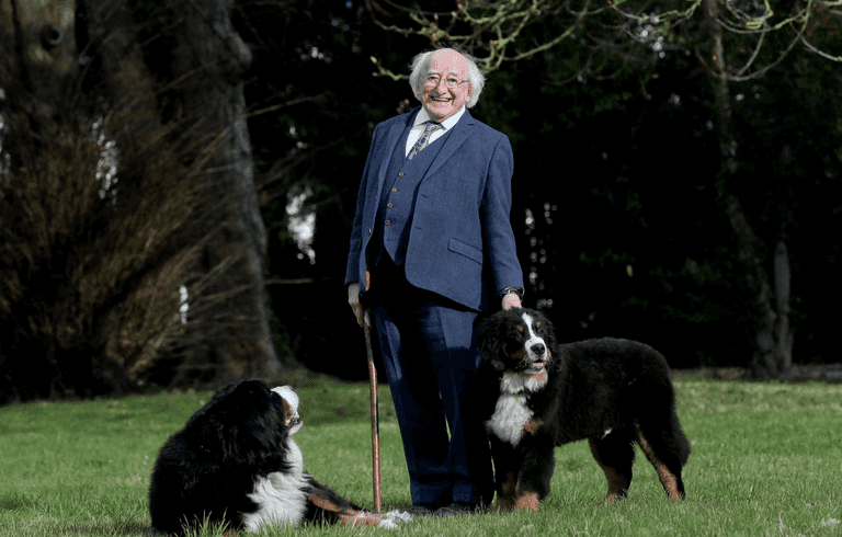 A love letter to Bród and Misneach for International Dog Day A love letter to Bród and Misneach for International Dog Day
