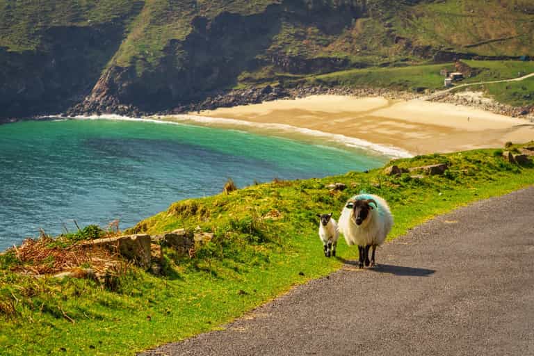 Met Éireann have issued another high temperature warning for this weekend Met Éireann have issued another high temperature warning for this weekend