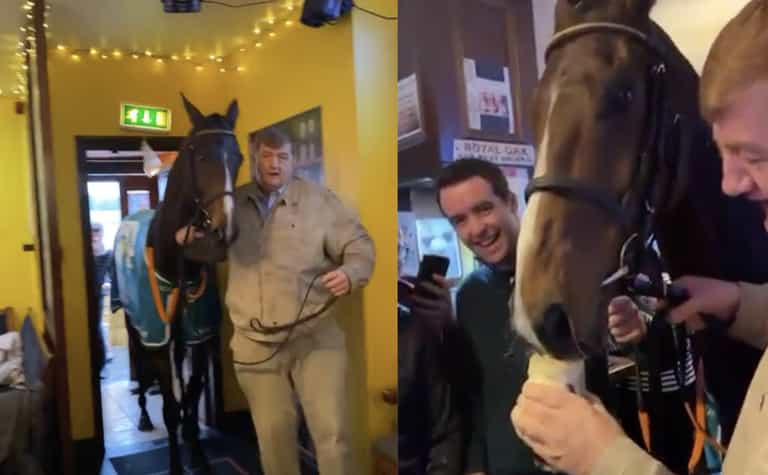 WATCH: Grand National winning horse is brought for a pint in a Carlow pub WATCH: Grand National winning horse is brought for a pint in a Carlow pub
