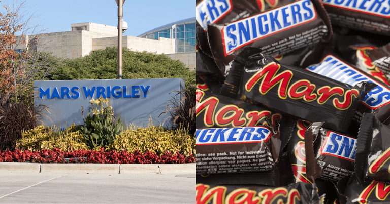 Mars face £12k fine after two workers fall into vat of melted chocolate Mars face £12k fine after two workers fall into vat of melted chocolate