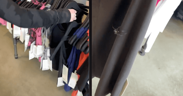 Woman reminds shoppers to wash new items after finding clothes rack infested with spiders Woman reminds shoppers to wash new items after finding clothes rack infested with spiders