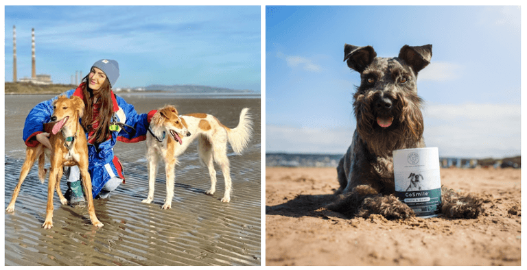 5 tips for Sustainable Dog Ownership to try out ahead of Earth Day 5 tips for Sustainable Dog Ownership to try out ahead of Earth Day