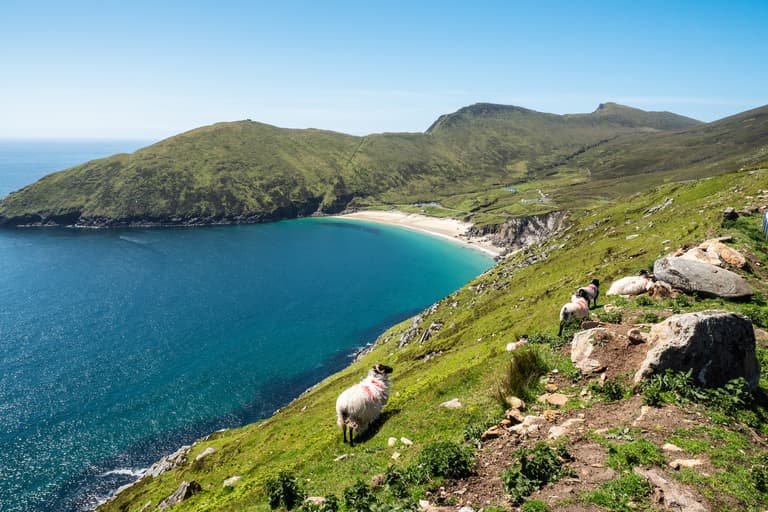 Ireland to expect ‘a good deal of sunshine’ this week according to weather reports Ireland to expect ‘a good deal of sunshine’ this week according to weather reports