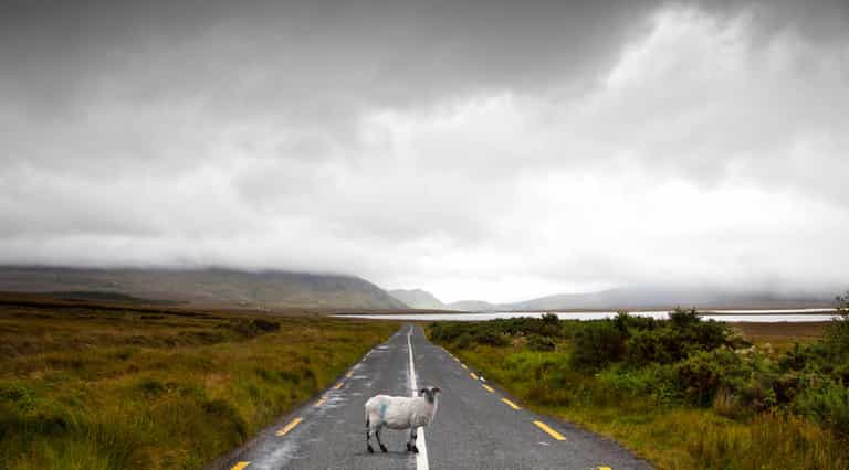 Ireland is officially the loneliest country in Europe Ireland is officially the loneliest country in Europe