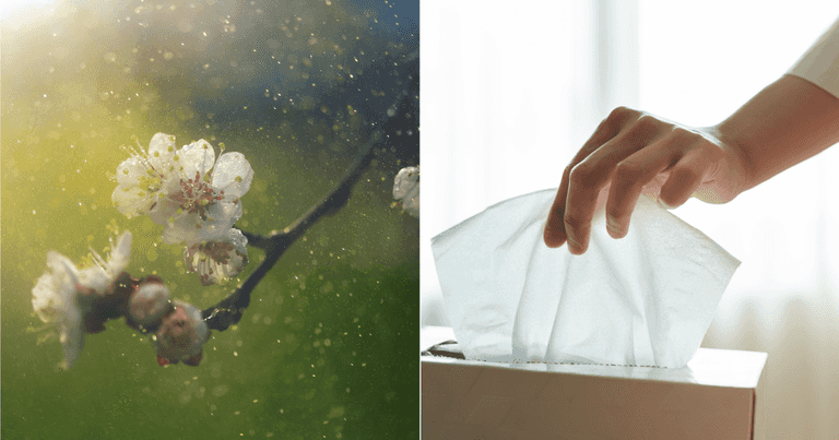 This expert hack may just save everyone suffering from hay fever right now This expert hack may just save everyone suffering from hay fever right now