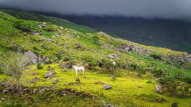 NPWS complete purchase of hugely popular Black Valley land NPWS complete purchase of hugely popular Black Valley land