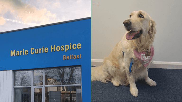 Belfast hospice have hired a therapy dog to bring comfort to patients Belfast hospice have hired a therapy dog to bring comfort to patients