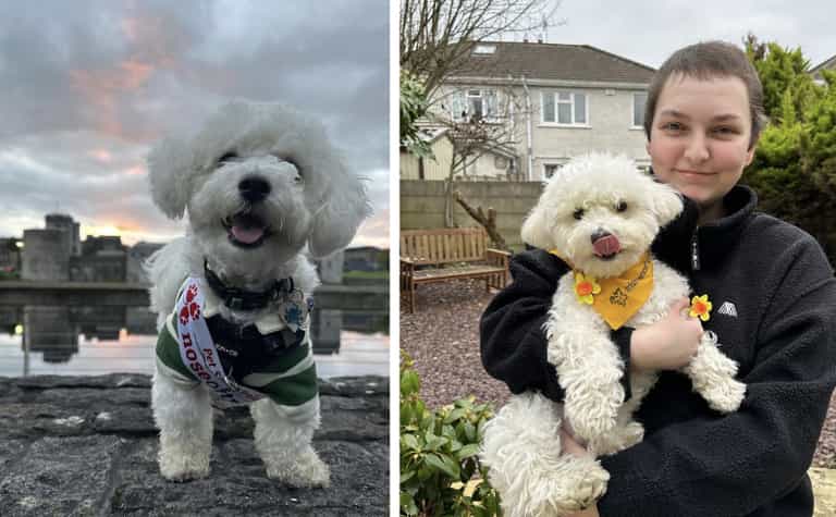 Loyal pup who comforted owner through chemo crowned Nose of Tralee Loyal pup who comforted owner through chemo crowned Nose of Tralee