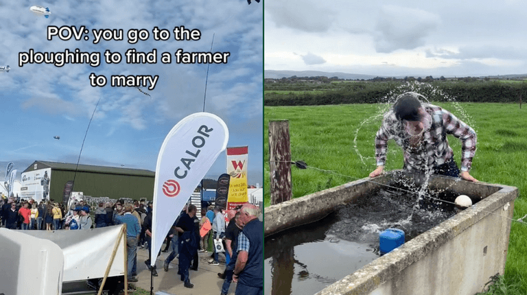 Farmtok and a robot ice cream maker – The Ploughing Championships in the modern age Farmtok and a robot ice cream maker – The Ploughing Championships in the modern age