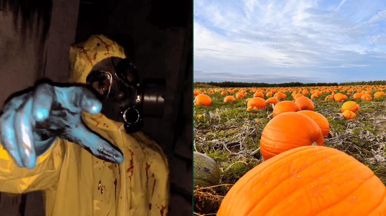 5 Halloween activities to check out in Ireland over spooky season 5 Halloween activities to check out in Ireland over spooky season
