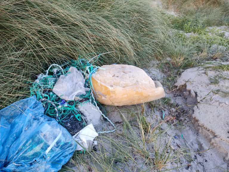 Second fatberg washed up in Galway, posing threat to pets and wildlife Second fatberg washed up in Galway, posing threat to pets and wildlife