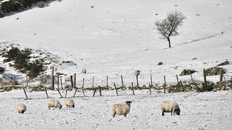 Weather experts warn that snow could be on its way Weather experts warn that snow could be on its way