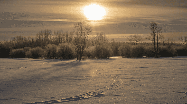 Met Éireann issues yellow weather warning as temperatures set to hit zero Met Éireann issues yellow weather warning as temperatures set to hit zero