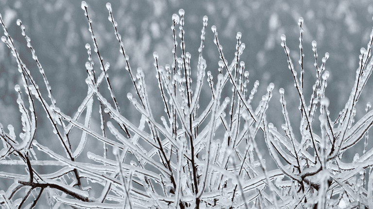 Met Éireann warns of possible snow as heating bills continue to rise Met Éireann warns of possible snow as heating bills continue to rise