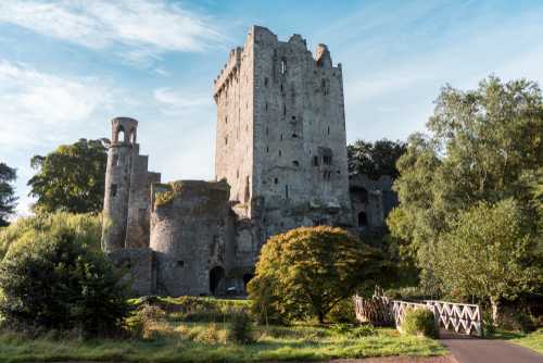 Take A Trip To Blarney Castle To Visit Ireland’s Tree Of The Year Take A Trip To Blarney Castle To Visit Ireland’s Tree Of The Year