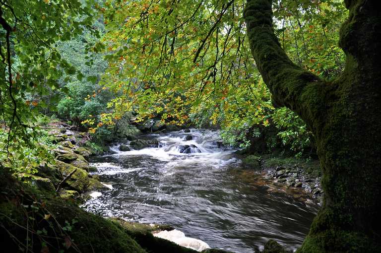 Five of the best spots in Ireland for a wild camping trip this summer Five of the best spots in Ireland for a wild camping trip this summer