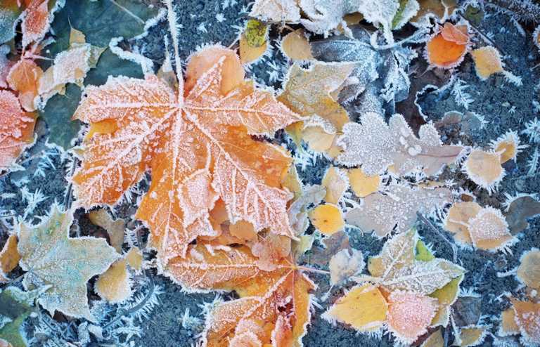 Prepare for a cold week as temperatures drop to -2 tonight Prepare for a cold week as temperatures drop to -2 tonight