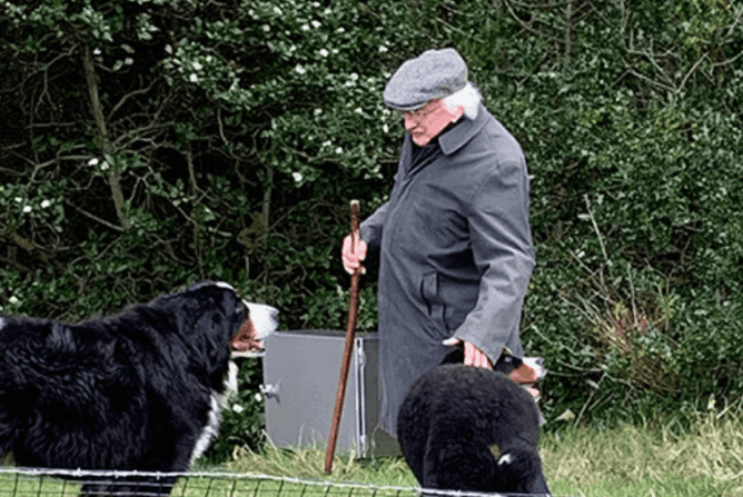 President Higgins has confirmed the name of his new dog President Higgins has confirmed the name of his new dog