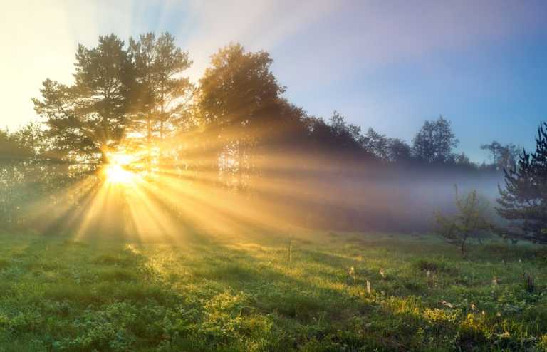 Paddy’s Day weather to remain ‘dry and sunny’ with temperatures as high as 17 degrees celsius Paddy’s Day weather to remain ‘dry and sunny’ with temperatures as high as 17 degrees celsius