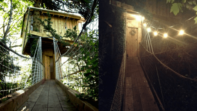 This luxury treehouse in Cork may be the most quirky accommodation in the area This luxury treehouse in Cork may be the most quirky accommodation in the area