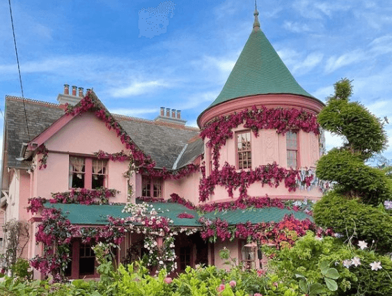 It’s a fairytale ending as Disenchanted filming wraps in Enniskerry It’s a fairytale ending as Disenchanted filming wraps in Enniskerry