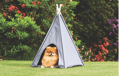 Aldi are celebrating International Dog Day with these dotey teepees for your furry friends!