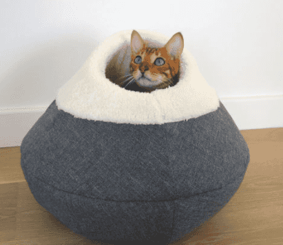 Aldi has some fab new pet accessories available from Sunday Aldi has some fab new pet accessories available from Sunday