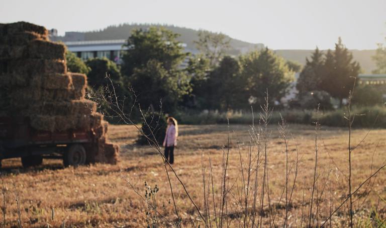 Met Éireann predict hottest Irish temperature since records began for next week Met Éireann predict hottest Irish temperature since records began for next week