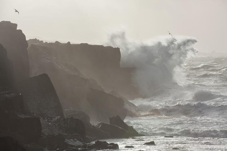 Fleur, Wouter and Nelly among the full list of storm names for Ireland in 2022/2023 Fleur, Wouter and Nelly among the full list of storm names for Ireland in 2022/2023