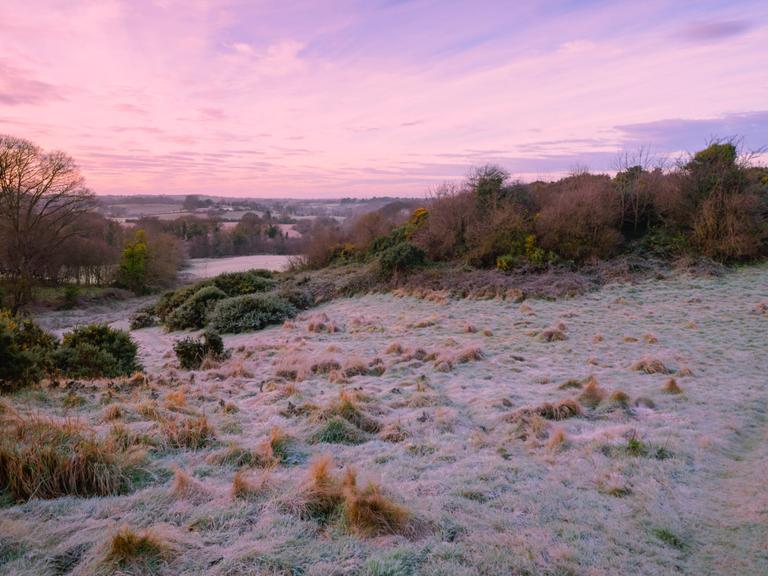 Temperatures to fall to freezing this week according to weather reports Temperatures to fall to freezing this week according to weather reports