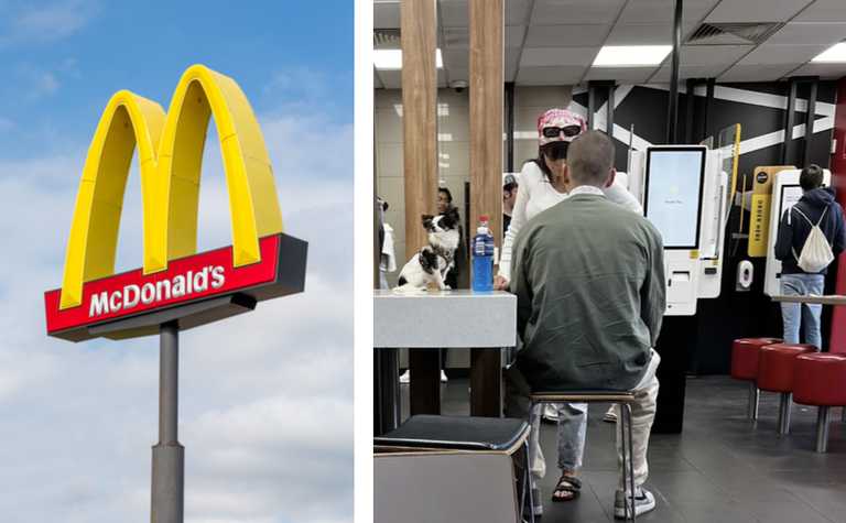 McDonald’s customers enraged after dog seen sitting on table in restaurant McDonald’s customers enraged after dog seen sitting on table in restaurant