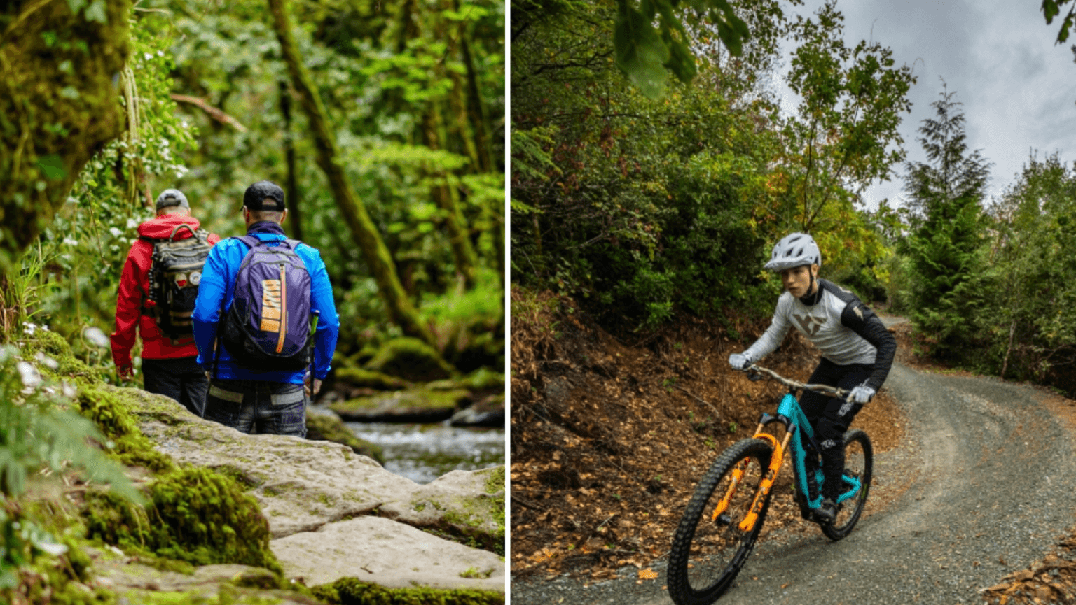 6 activities to enhance your short break in Cork and Limerick this summer