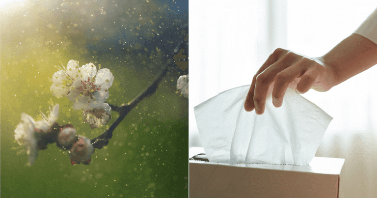 This expert hack may just save everyone suffering from hay fever right now This expert hack may just save everyone suffering from hay fever right now
