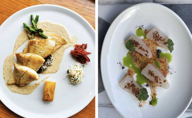 Michelin have named their top seafood restaurants in the Republic of Ireland Michelin have named their top seafood restaurants in the Republic of Ireland