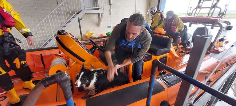Dog is rescued from sandbank on Sligo beach Dog is rescued from sandbank on Sligo beach
