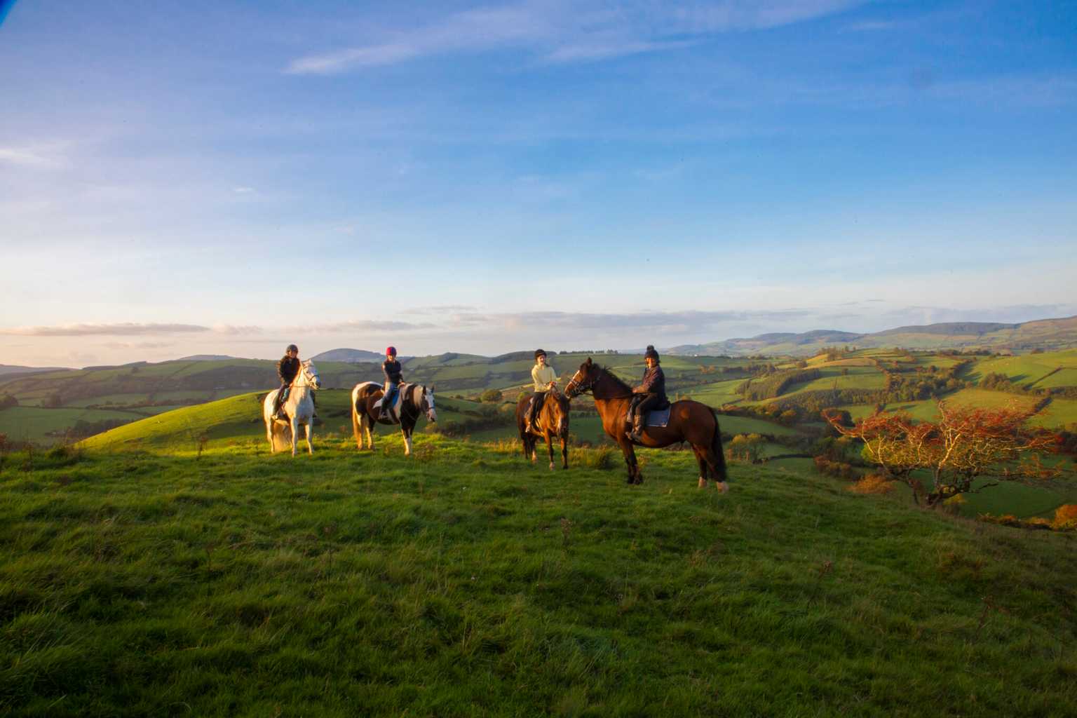 Hikes, bikes and bites – 6 ways to enjoy your next short break in Ireland’s Ancient East Hikes, bikes and bites – 6 ways to enjoy your next short break in Ireland’s Ancient East