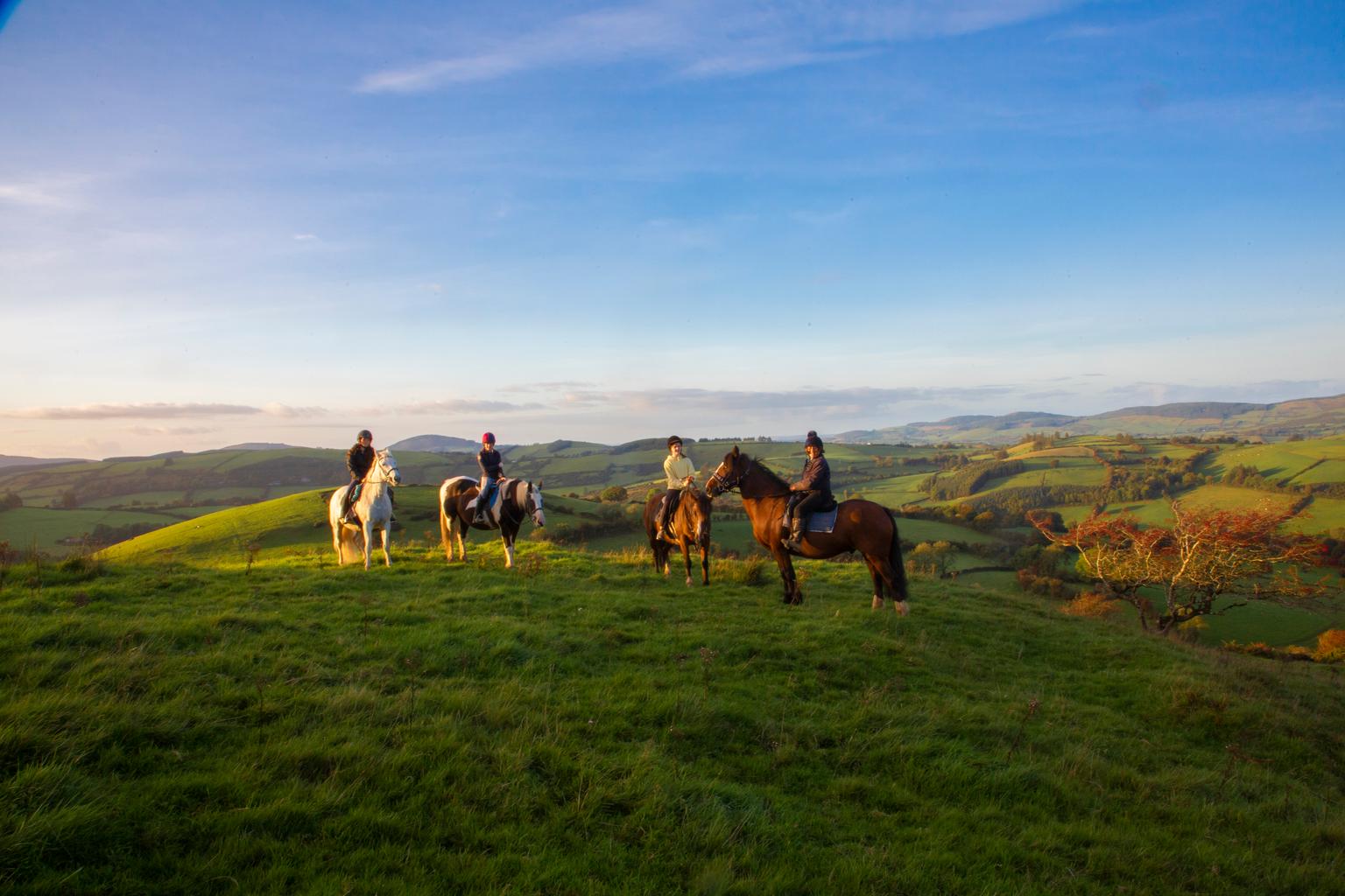 Hikes, bikes and bites – 6 ways to enjoy your next short break in Ireland’s Ancient East