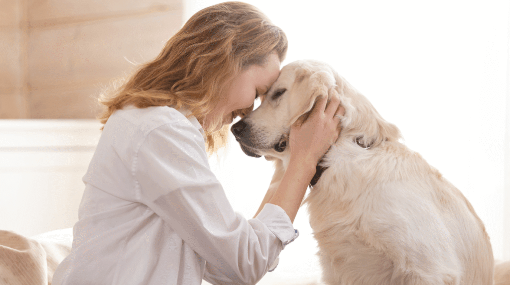 Renters to gain right to keep pets under new housing plan