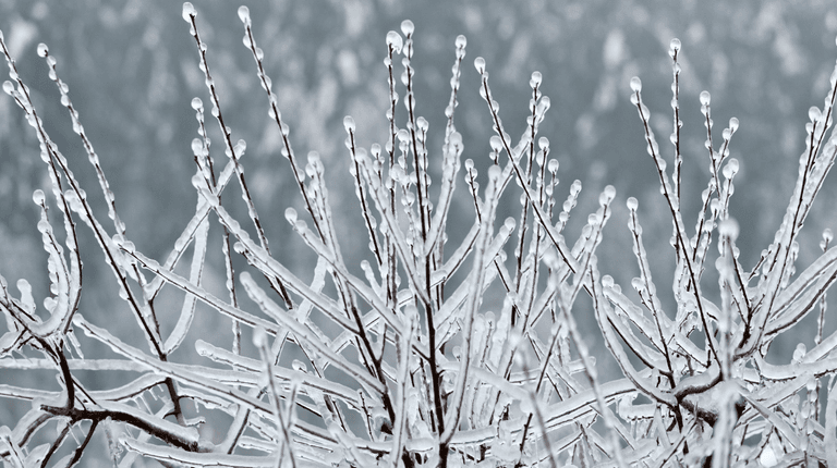 Met Éireann warns of possible snow as heating bills continue to rise Met Éireann warns of possible snow as heating bills continue to rise